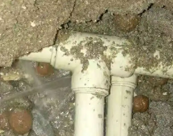 金华测漏水多少钱