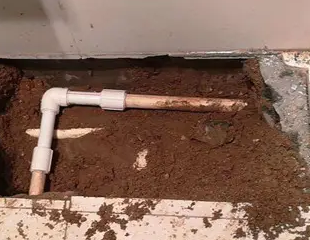 金华测漏水哪家好