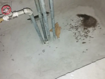 金华卫生间测漏水价格明细