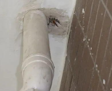 金华漏水检测哪家好